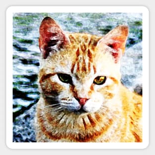 Young Yellow Cat Portrait Sticker